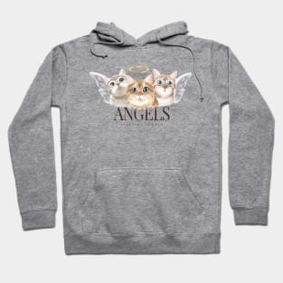 Kitten angels with angels slogan Hoodie